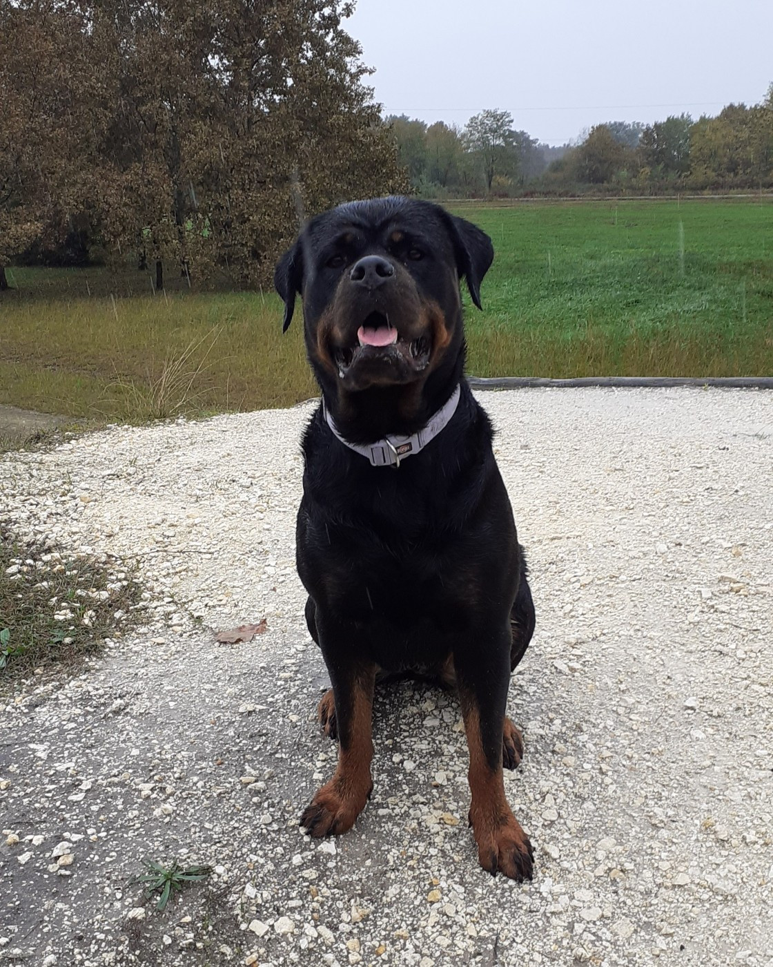 Tinky Du Temple D'Adranos